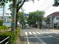 �t�ɂ͍��̃g���l����